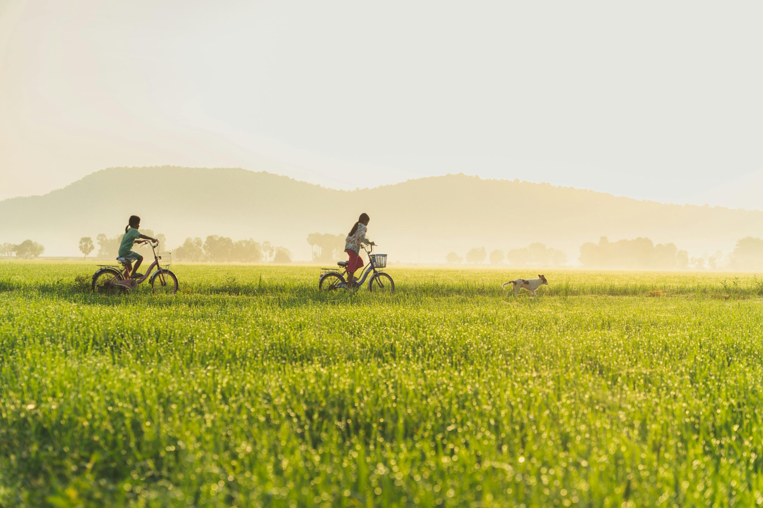 cycling and walking